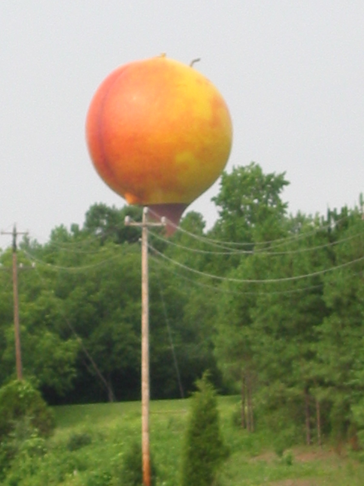 Well, not quite; it's actually a giant, nicely decorated water tower in South Carolina.  Did you know that the state of South Carolina produces more peaches than Georgia?
Of course, it's yet to produce an Allman Brothers Band.