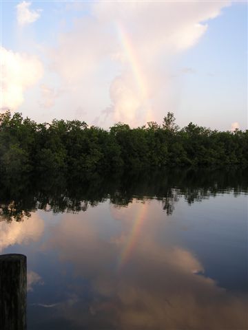 rainbow over Mangroves after the storm...